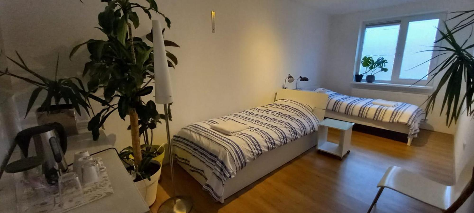 Luxury Villa, Free Parking, Close To The Center *